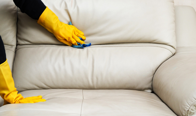 Средства для чистки диванов: бытовая химия и народные рецепты, советы по уходу за мебелью
